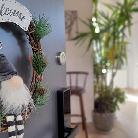 Hoobee Home & Rooftop Terrace Târgu-Mureş Εξωτερικό φωτογραφία
