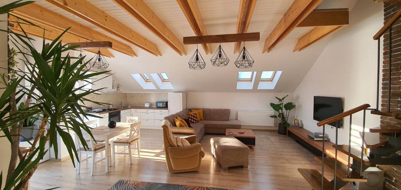 Hoobee Home & Rooftop Terrace Târgu-Mureş Εξωτερικό φωτογραφία