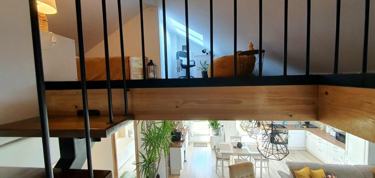 Hoobee Home & Rooftop Terrace Târgu-Mureş Εξωτερικό φωτογραφία