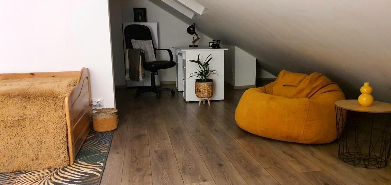 Hoobee Home & Rooftop Terrace Târgu-Mureş Εξωτερικό φωτογραφία