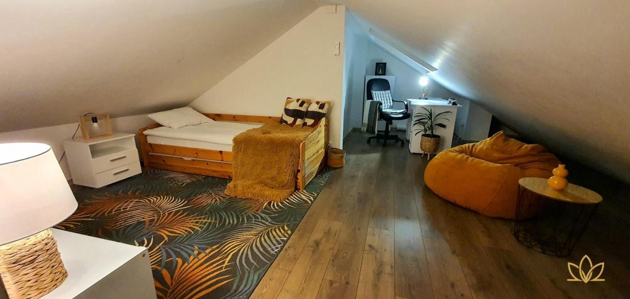 Hoobee Home & Rooftop Terrace Târgu-Mureş Εξωτερικό φωτογραφία