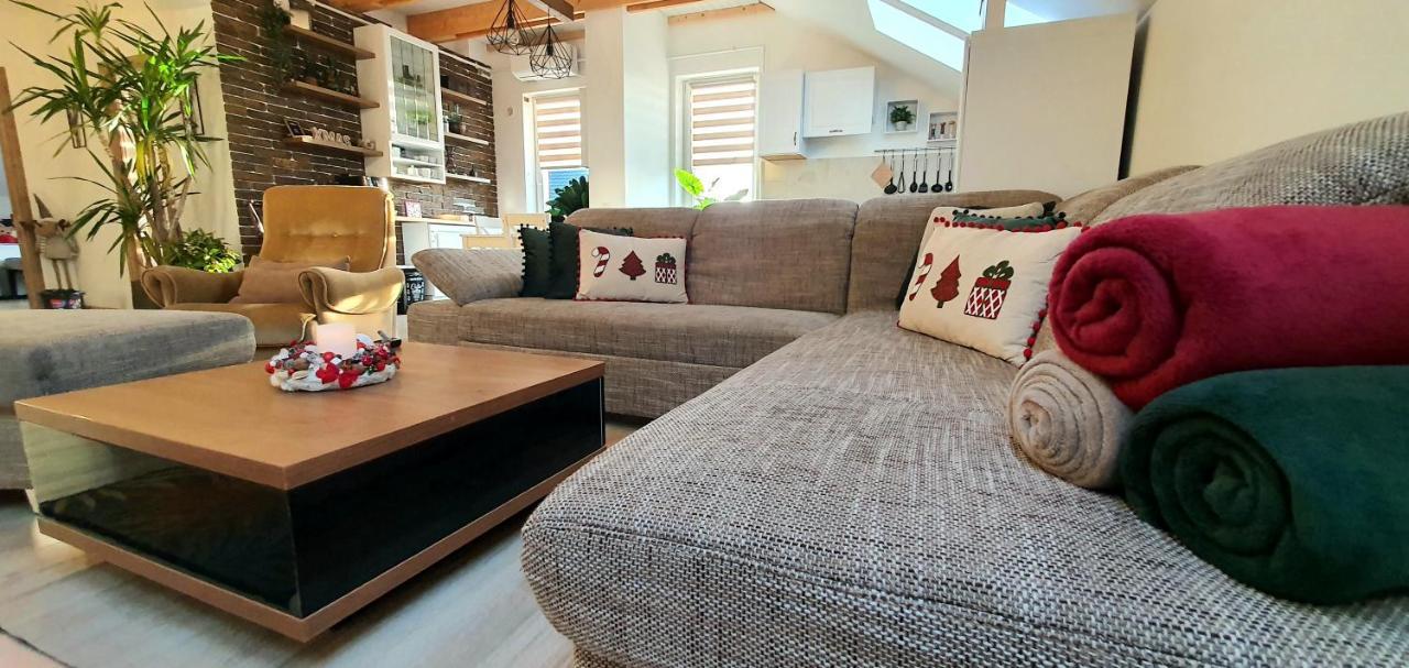 Hoobee Home & Rooftop Terrace Târgu-Mureş Εξωτερικό φωτογραφία
